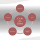Ciclo do BPM